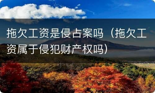 拖欠工资是侵占案吗（拖欠工资属于侵犯财产权吗）