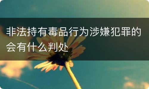 非法持有毒品行为涉嫌犯罪的会有什么判处