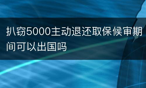 扒窃5000主动退还取保候审期间可以出国吗