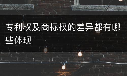 专利权及商标权的差异都有哪些体现