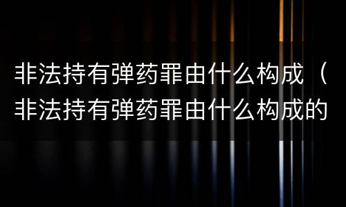 非法持有弹药罪由什么构成（非法持有弹药罪由什么构成的）