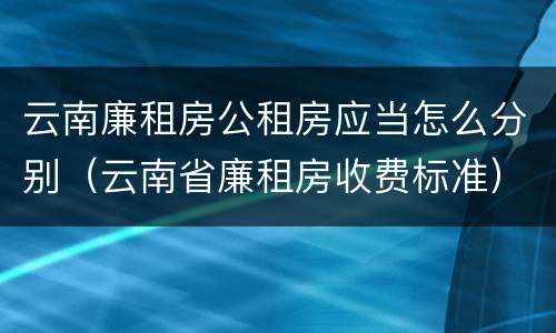 云南廉租房公租房应当怎么分别（云南省廉租房收费标准）