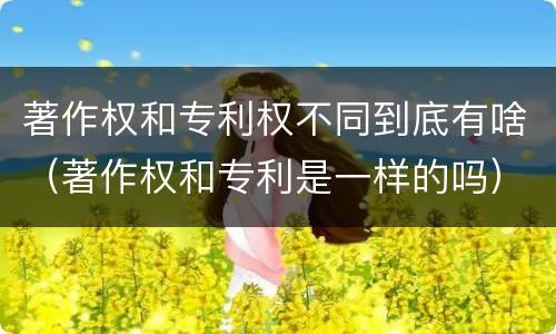 著作权和专利权不同到底有啥（著作权和专利是一样的吗）