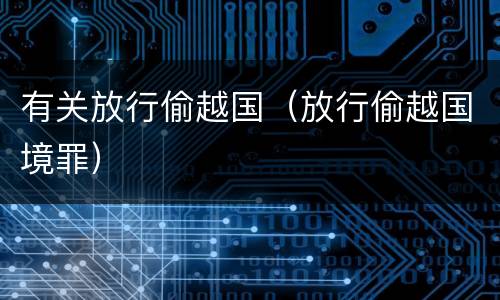 有关放行偷越国（放行偷越国境罪）