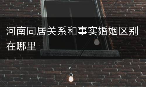 河南同居关系和事实婚姻区别在哪里