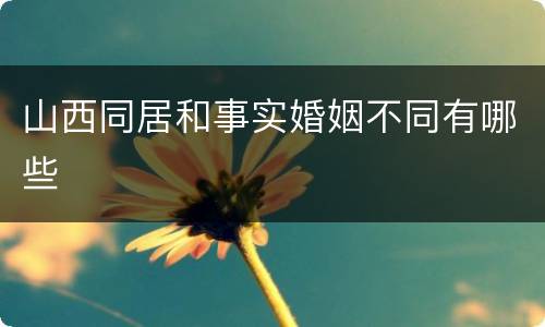 山西同居和事实婚姻不同有哪些