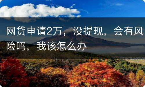 网贷申请2万，没提现，会有风险吗，我该怎么办