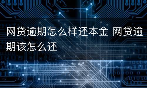 网贷逾期怎么样还本金 网贷逾期该怎么还