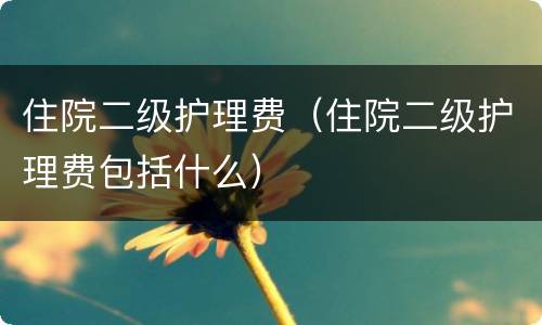 住院二级护理费（住院二级护理费包括什么）