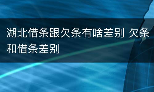 湖北借条跟欠条有啥差别 欠条和借条差别