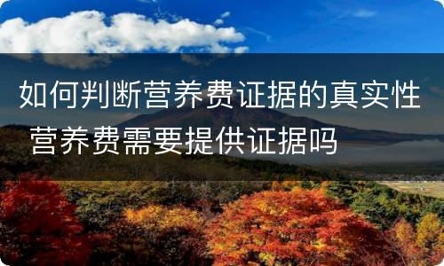 如何判断营养费证据的真实性 营养费需要提供证据吗