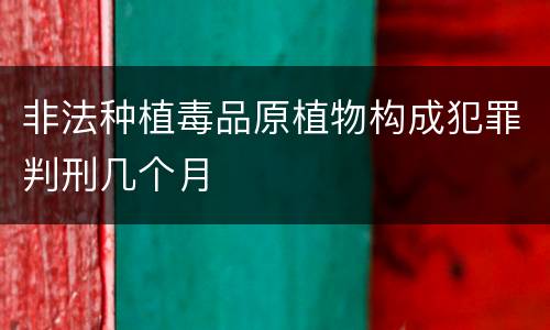 非法种植毒品原植物构成犯罪判刑几个月