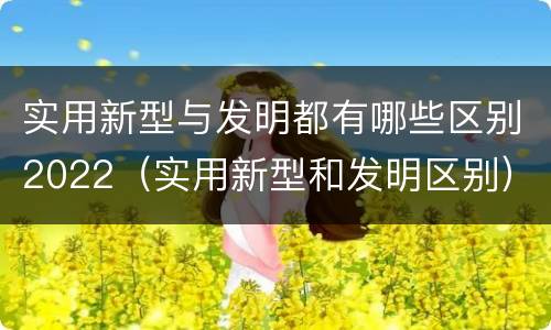 实用新型与发明都有哪些区别2022（实用新型和发明区别）