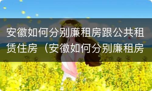 安徽如何分别廉租房跟公共租赁住房（安徽如何分别廉租房跟公共租赁住房呢）