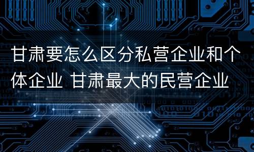 甘肃要怎么区分私营企业和个体企业 甘肃最大的民营企业