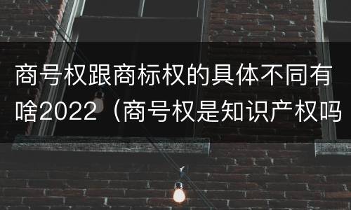 商号权跟商标权的具体不同有啥2022（商号权是知识产权吗）
