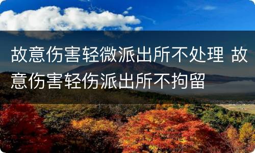 故意伤害轻微派出所不处理 故意伤害轻伤派出所不拘留