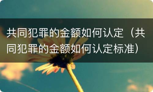 共同犯罪的金额如何认定（共同犯罪的金额如何认定标准）