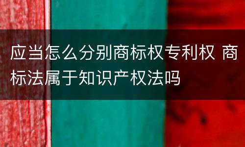 应当怎么分别商标权专利权 商标法属于知识产权法吗