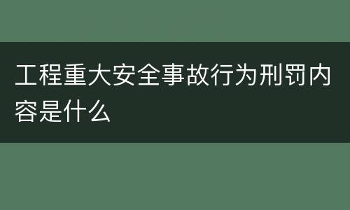 工程重大安全事故行为刑罚内容是什么
