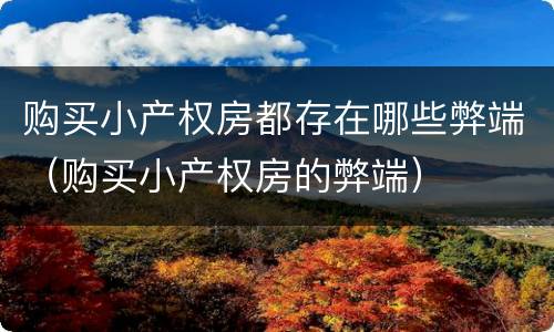 购买小产权房都存在哪些弊端（购买小产权房的弊端）