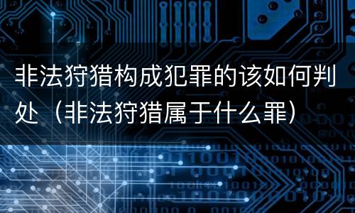 非法狩猎构成犯罪的该如何判处（非法狩猎属于什么罪）