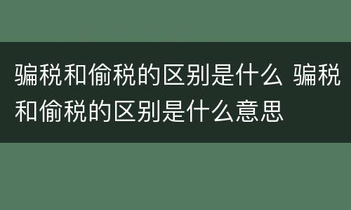 骗税和偷税的区别是什么 骗税和偷税的区别是什么意思