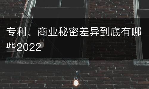 专利、商业秘密差异到底有哪些2022