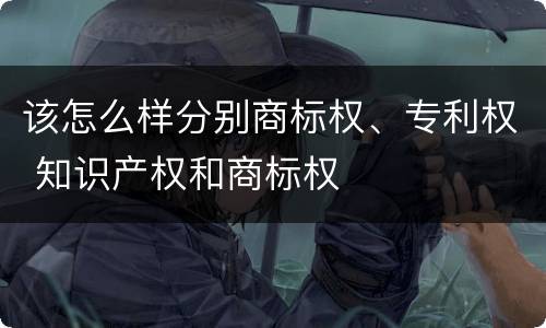 该怎么样分别商标权、专利权 知识产权和商标权