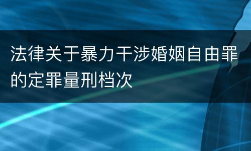 法律关于暴力干涉婚姻自由罪的定罪量刑档次