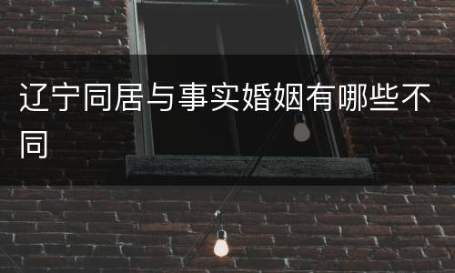 辽宁同居与事实婚姻有哪些不同