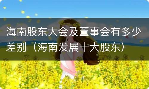 海南股东大会及董事会有多少差别（海南发展十大股东）