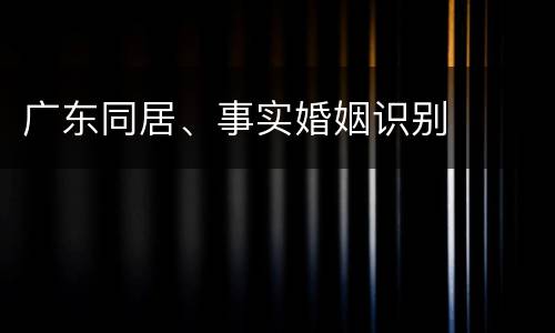 广东同居、事实婚姻识别