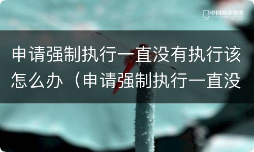 申请强制执行一直没有执行该怎么办（申请强制执行一直没有执行该怎么办呢）