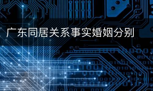 广东同居关系事实婚姻分别