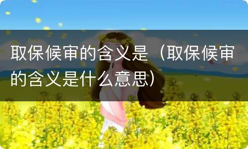 取保候审的含义是（取保候审的含义是什么意思）