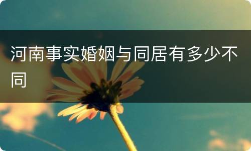 河南事实婚姻与同居有多少不同