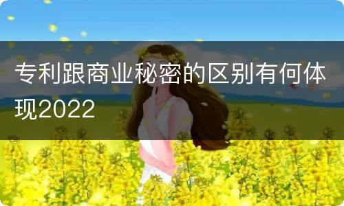 专利跟商业秘密的区别有何体现2022