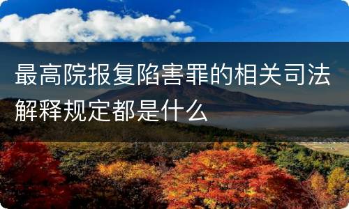 最高院报复陷害罪的相关司法解释规定都是什么