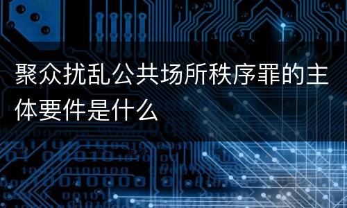 聚众扰乱公共场所秩序罪的主体要件是什么