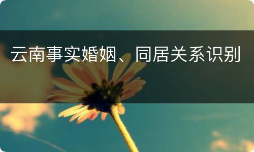 云南事实婚姻、同居关系识别
