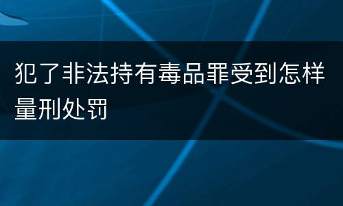 犯了非法持有毒品罪受到怎样量刑处罚
