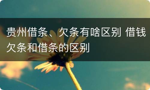 贵州借条、欠条有啥区别 借钱欠条和借条的区别