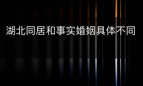 湖北同居和事实婚姻具体不同