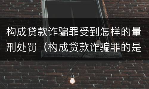 构成贷款诈骗罪受到怎样的量刑处罚（构成贷款诈骗罪的是）