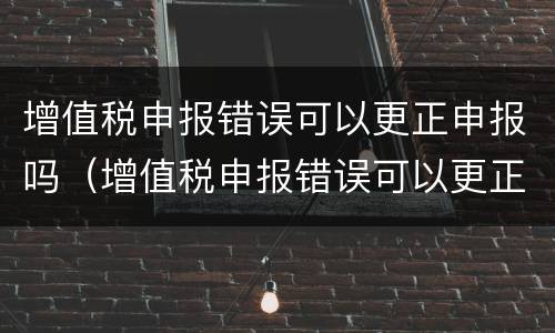 增值税申报错误可以更正申报吗（增值税申报错误可以更正申报吗怎么办）