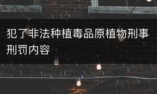 犯了非法种植毒品原植物刑事刑罚内容