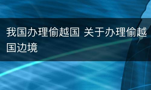 我国办理偷越国 关于办理偷越国边境