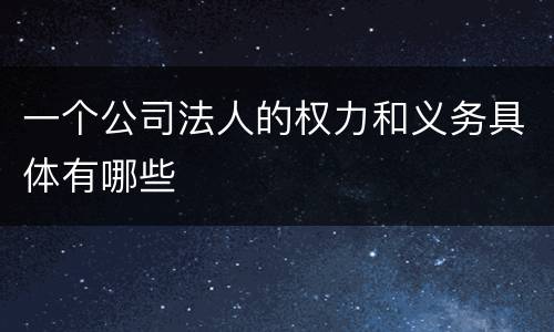 一个公司法人的权力和义务具体有哪些