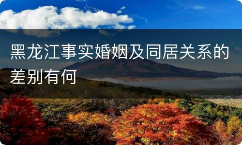 黑龙江事实婚姻及同居关系的差别有何